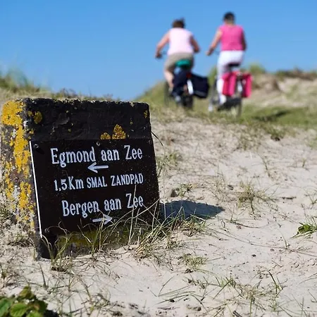 Casa de Férias Arthouse Lola