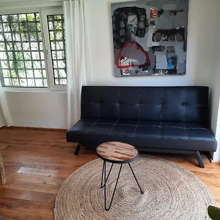 Arthouse Lola *
