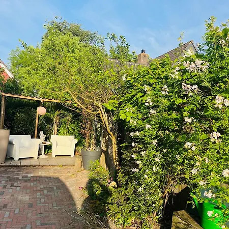 Arthouse Lola Bergen