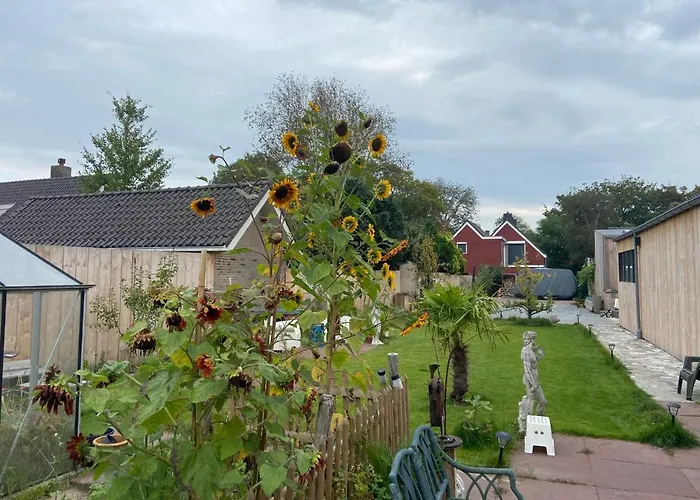 Arthouse Lola * Берген