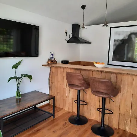 Arthouse Lola