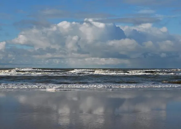 Arthouse Lola Bergen