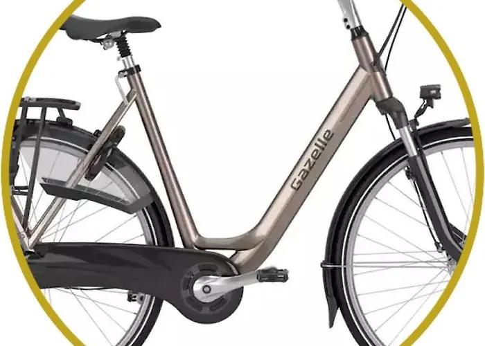 Arthouse Lola * Bergen